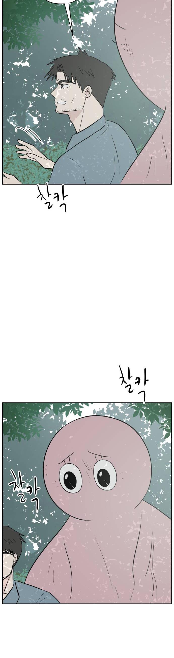 050.jpg