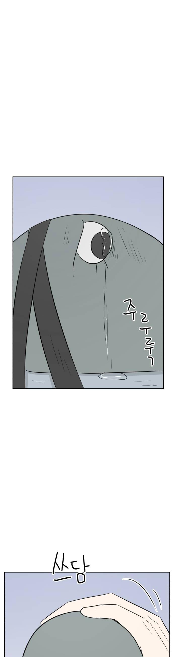050.jpg