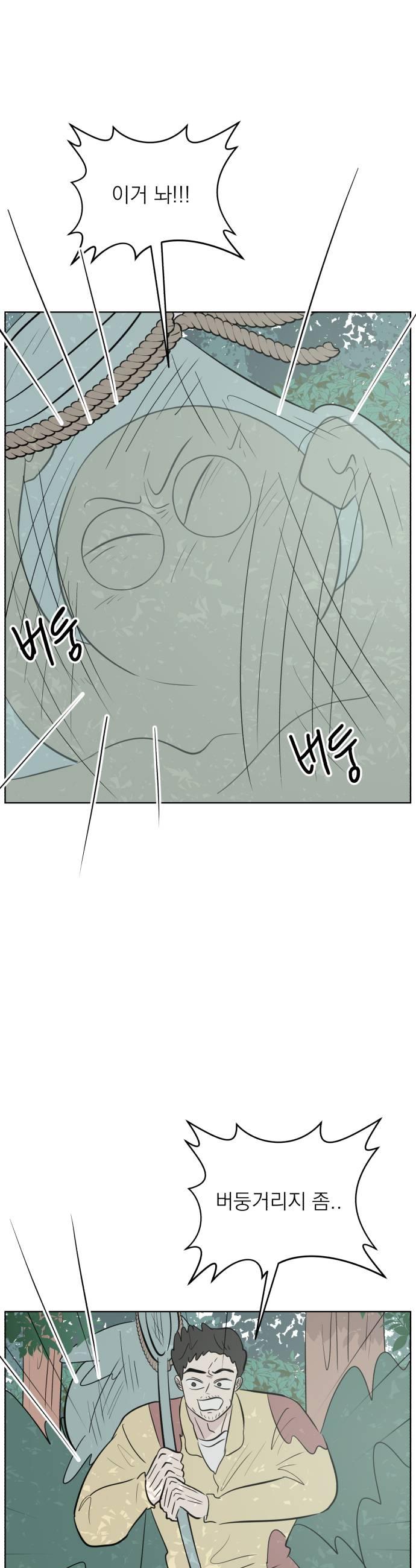 005.jpg