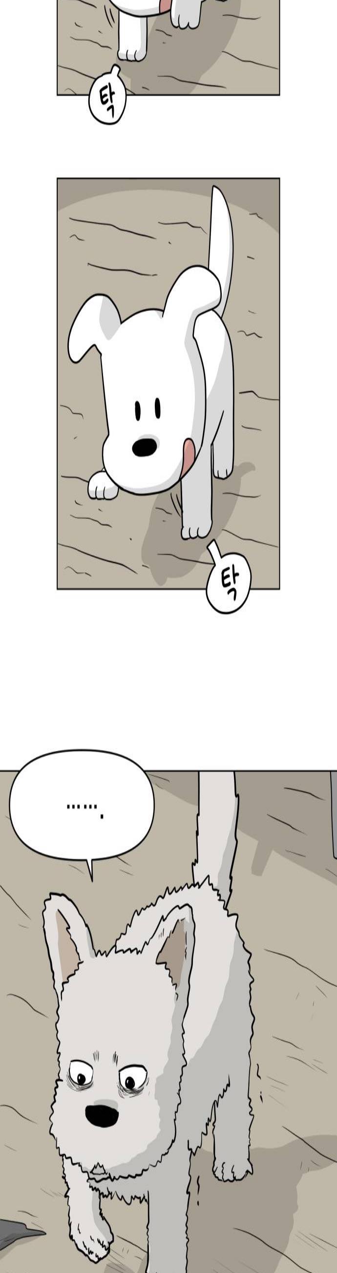 002.jpg