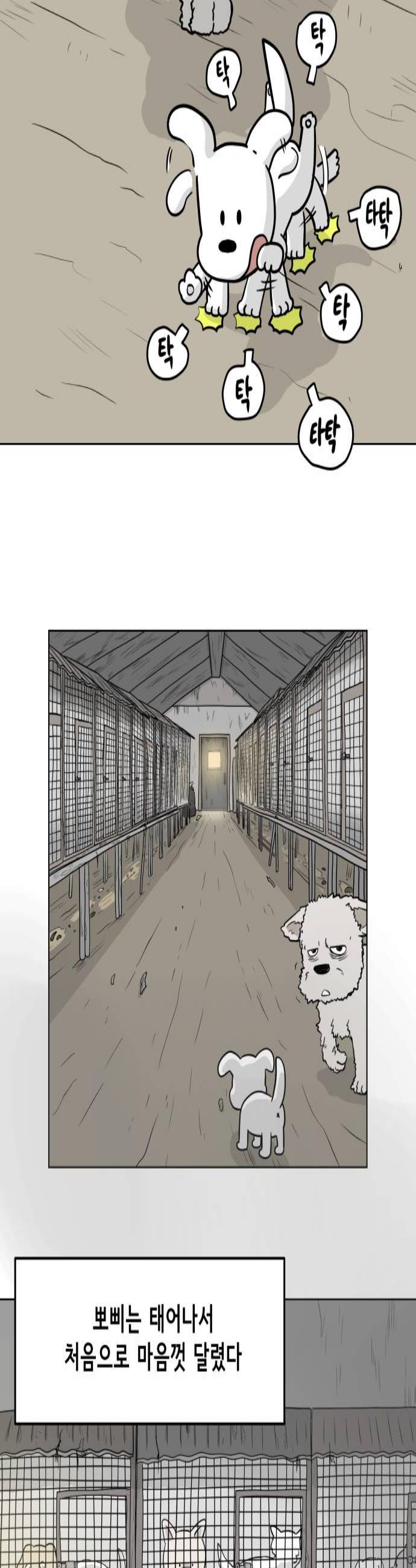 003.jpg