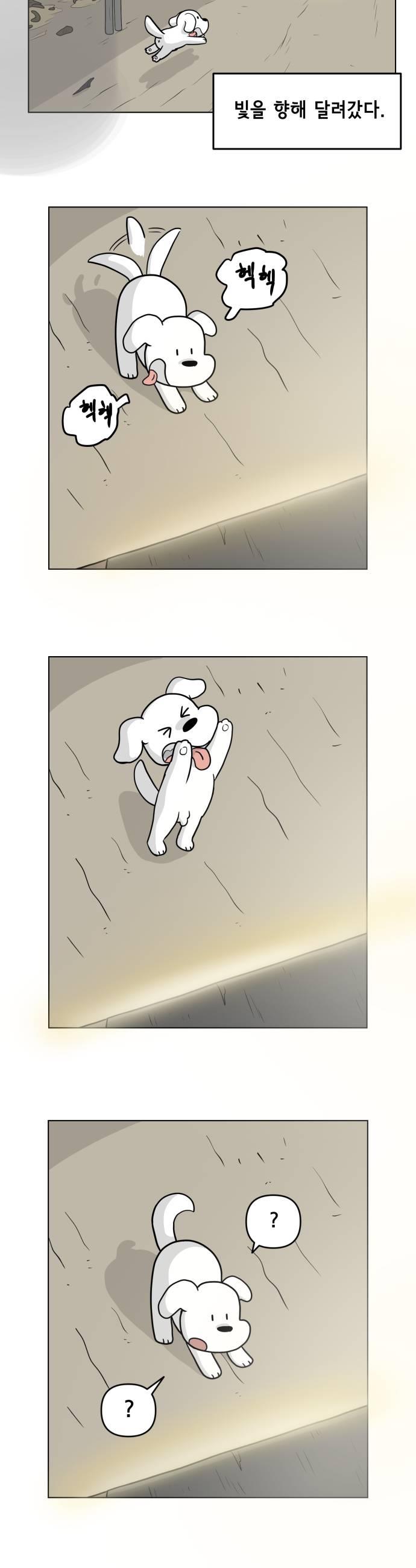 005.jpg