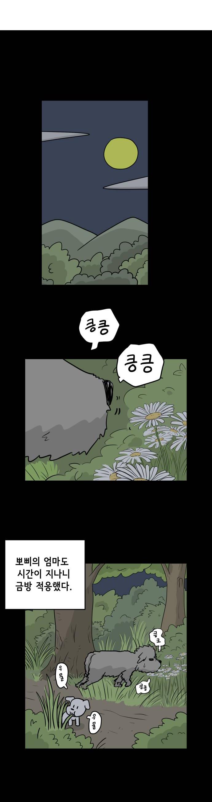 010.jpg