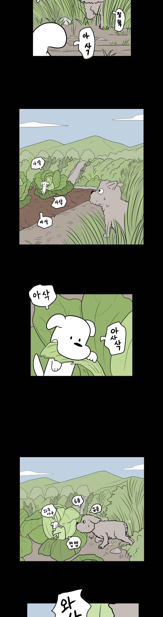 005.jpg