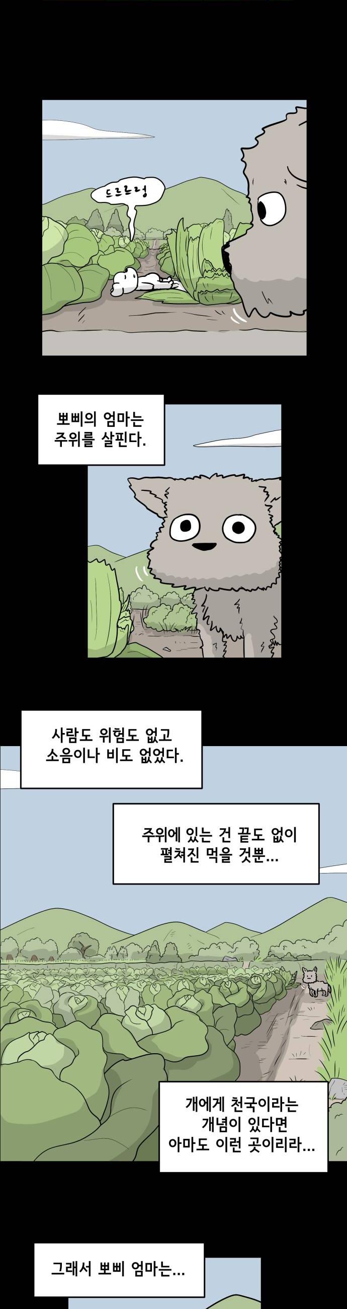 008.jpg