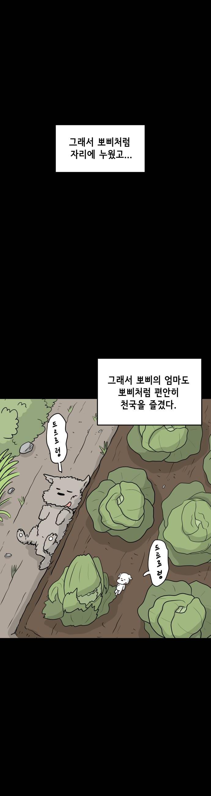 010.jpg