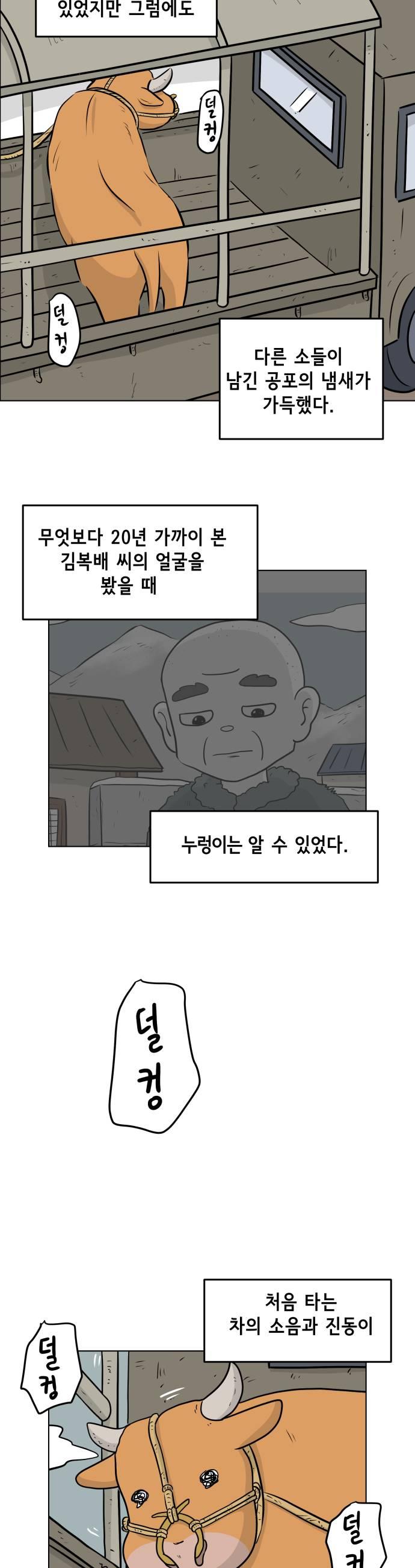 009.jpg