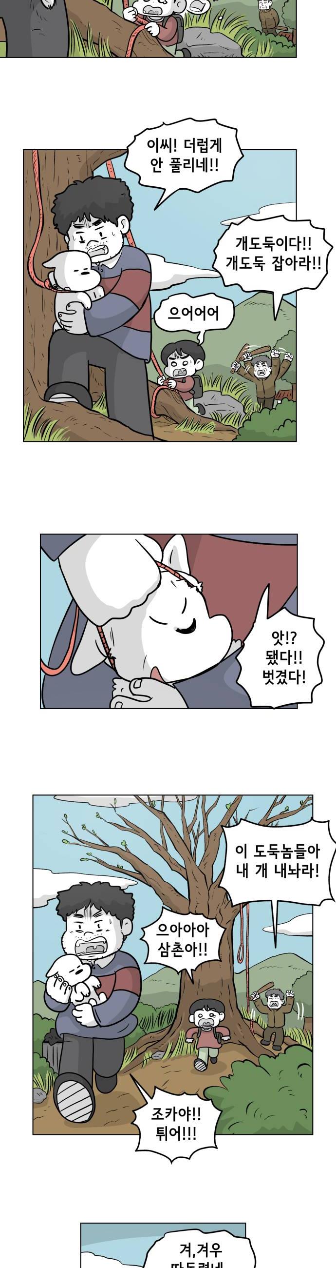 008.jpg