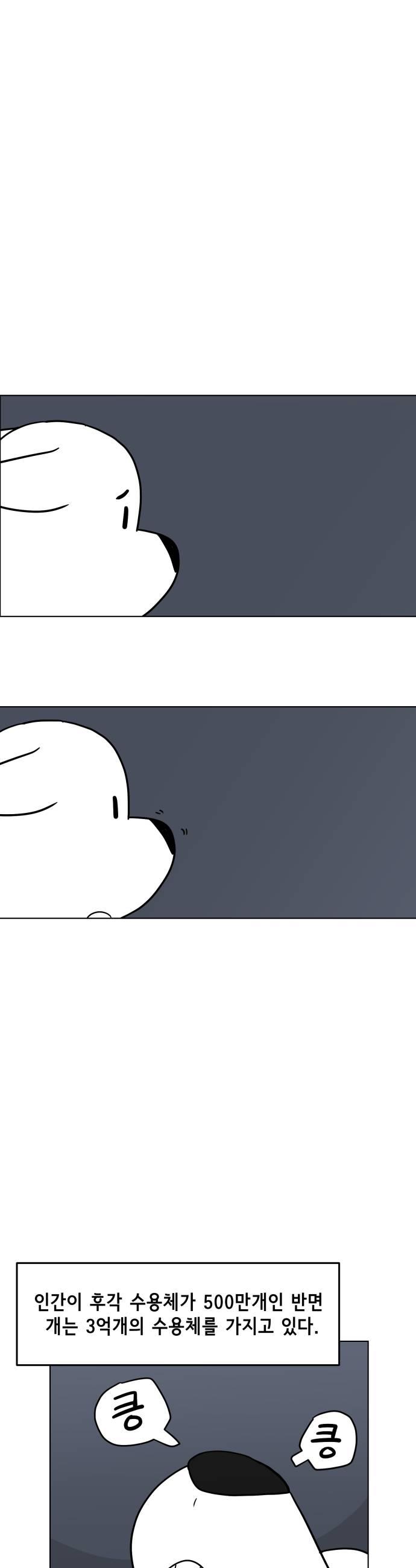 007.jpg