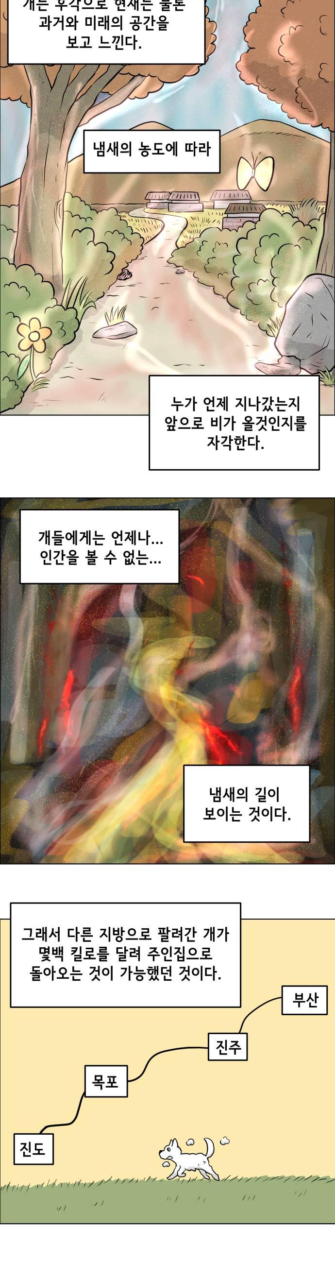 009.jpg