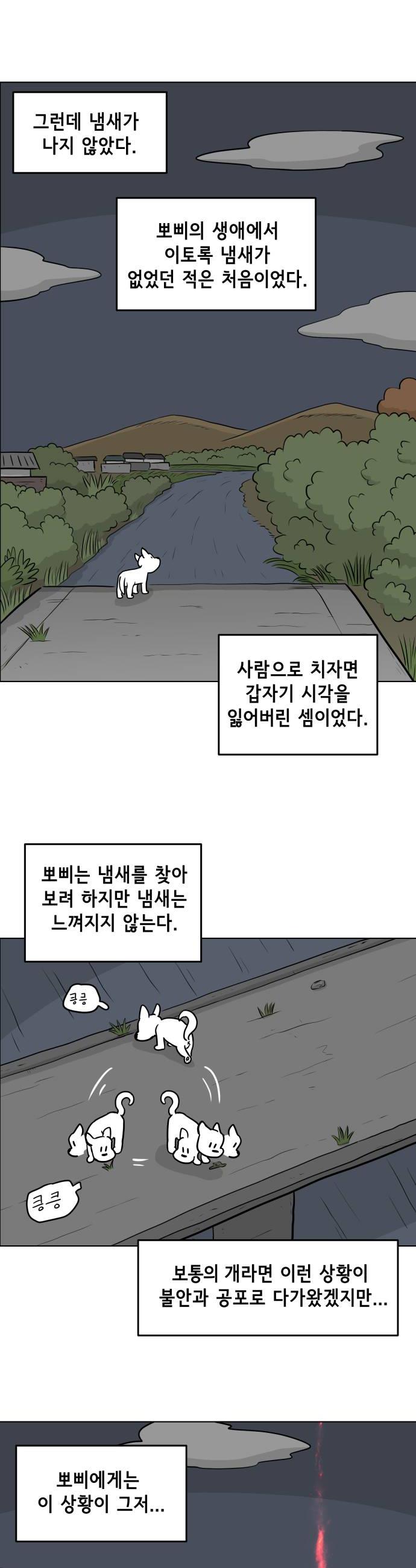 010.jpg