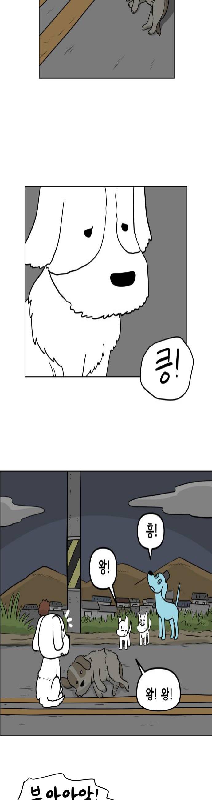 004.jpg