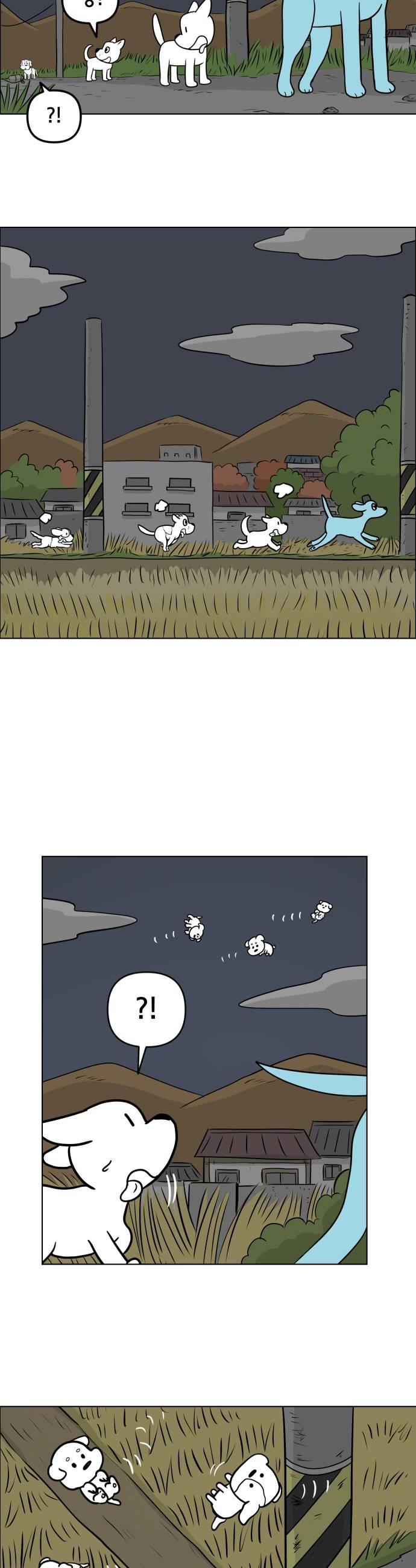 008.jpg