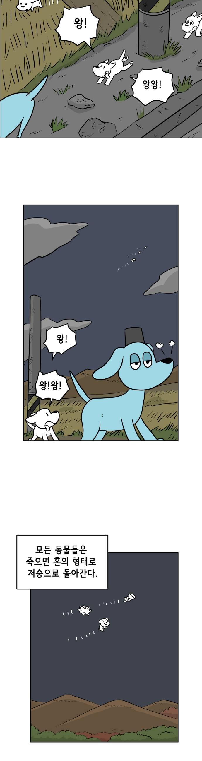 009.jpg