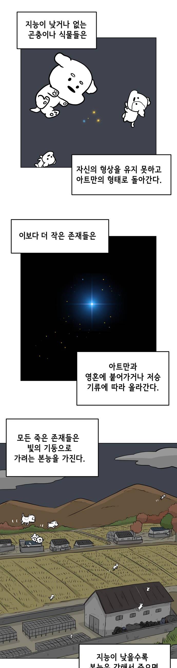 010.jpg