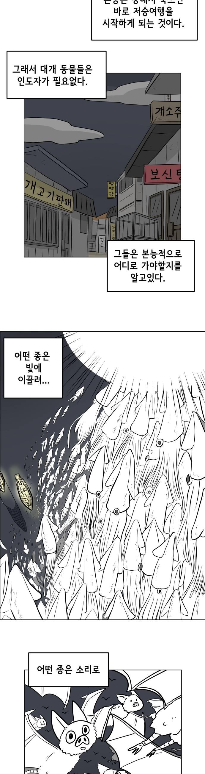 011.jpg