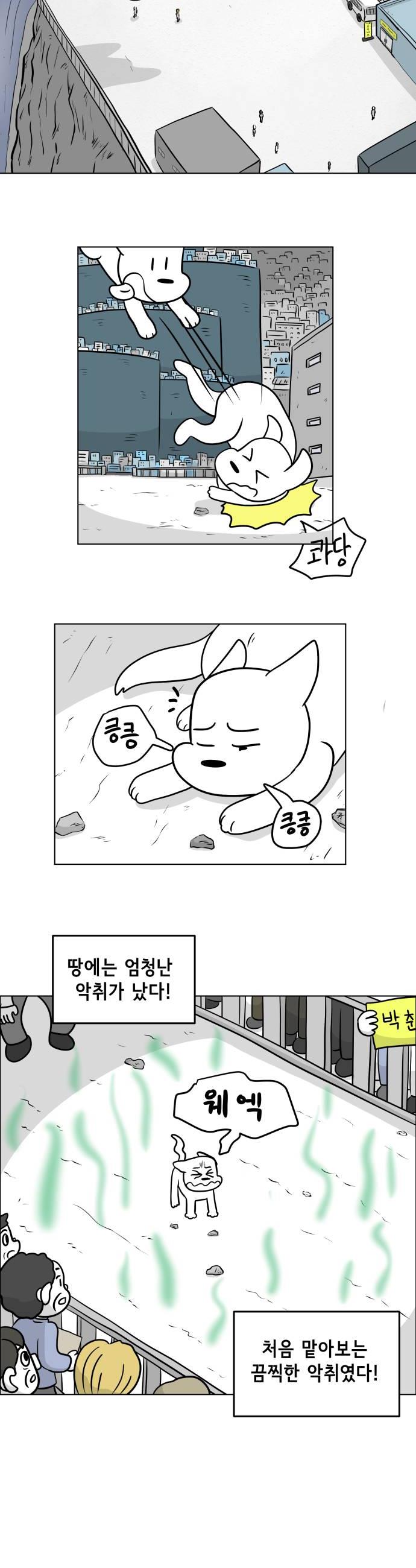 006.jpg