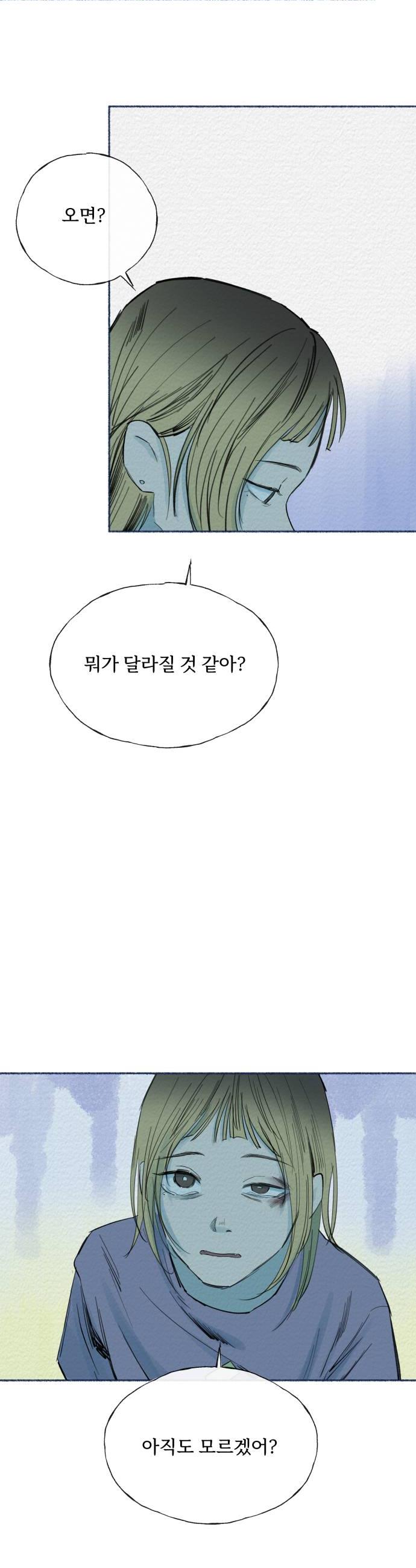 010.jpg