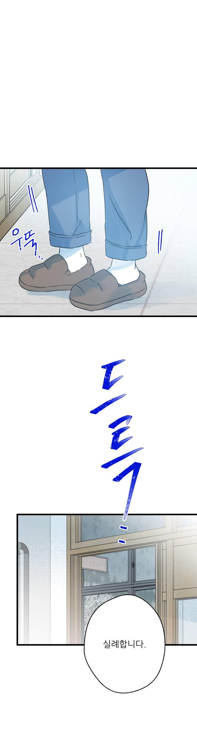005.jpg