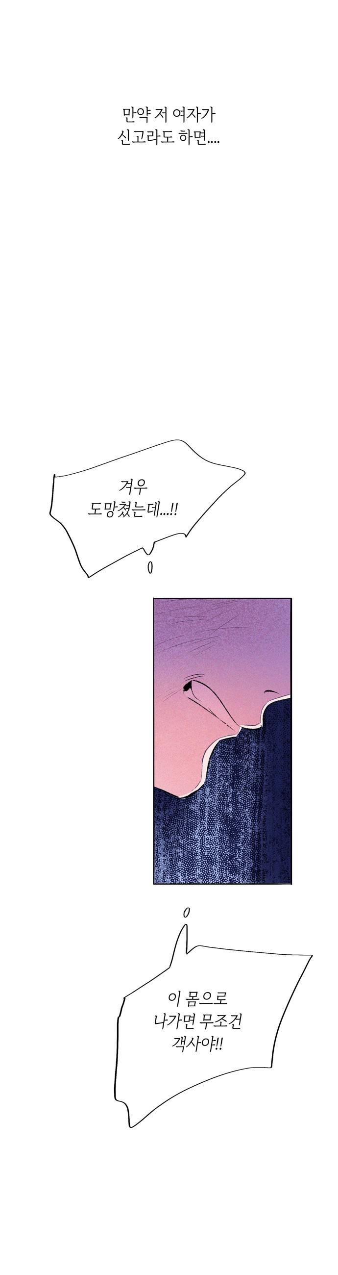 031.jpg