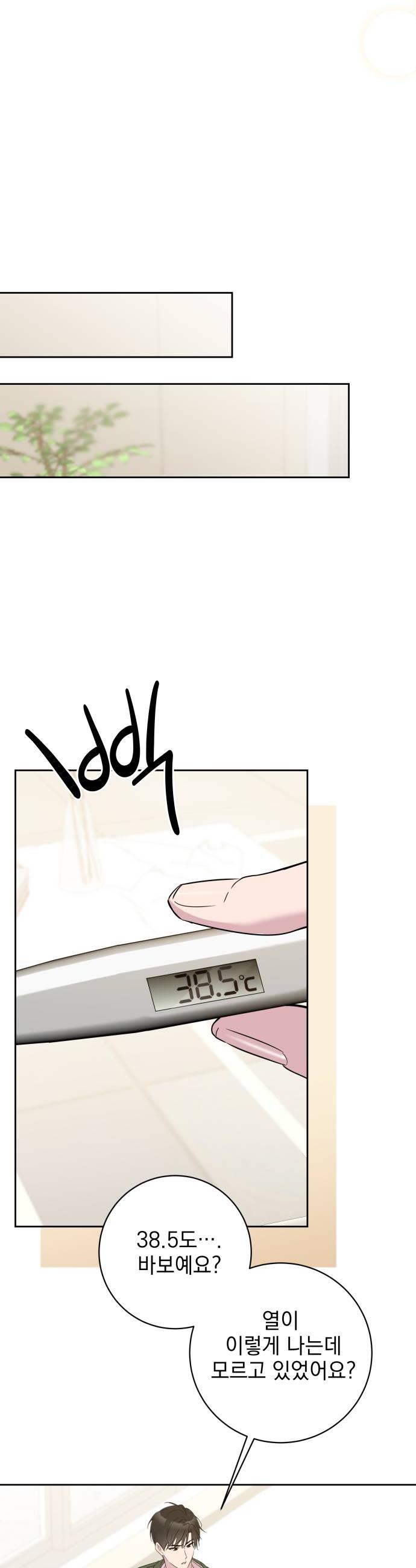 006.jpg