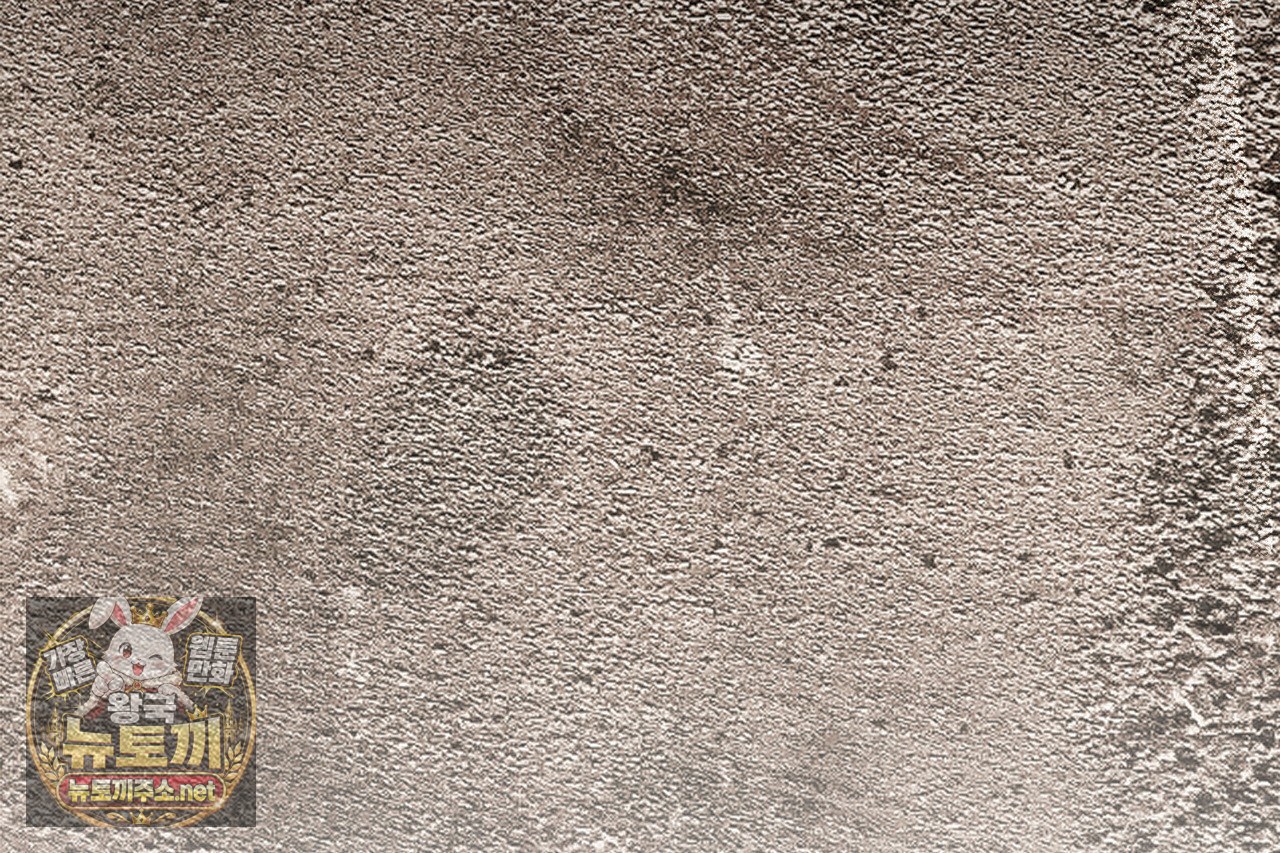 238.jpg