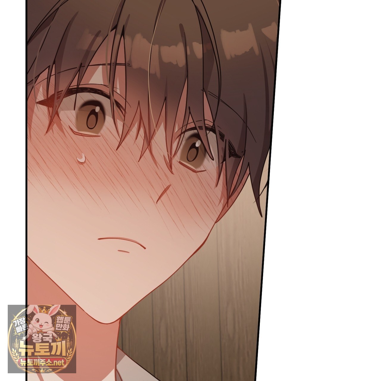 009.jpg