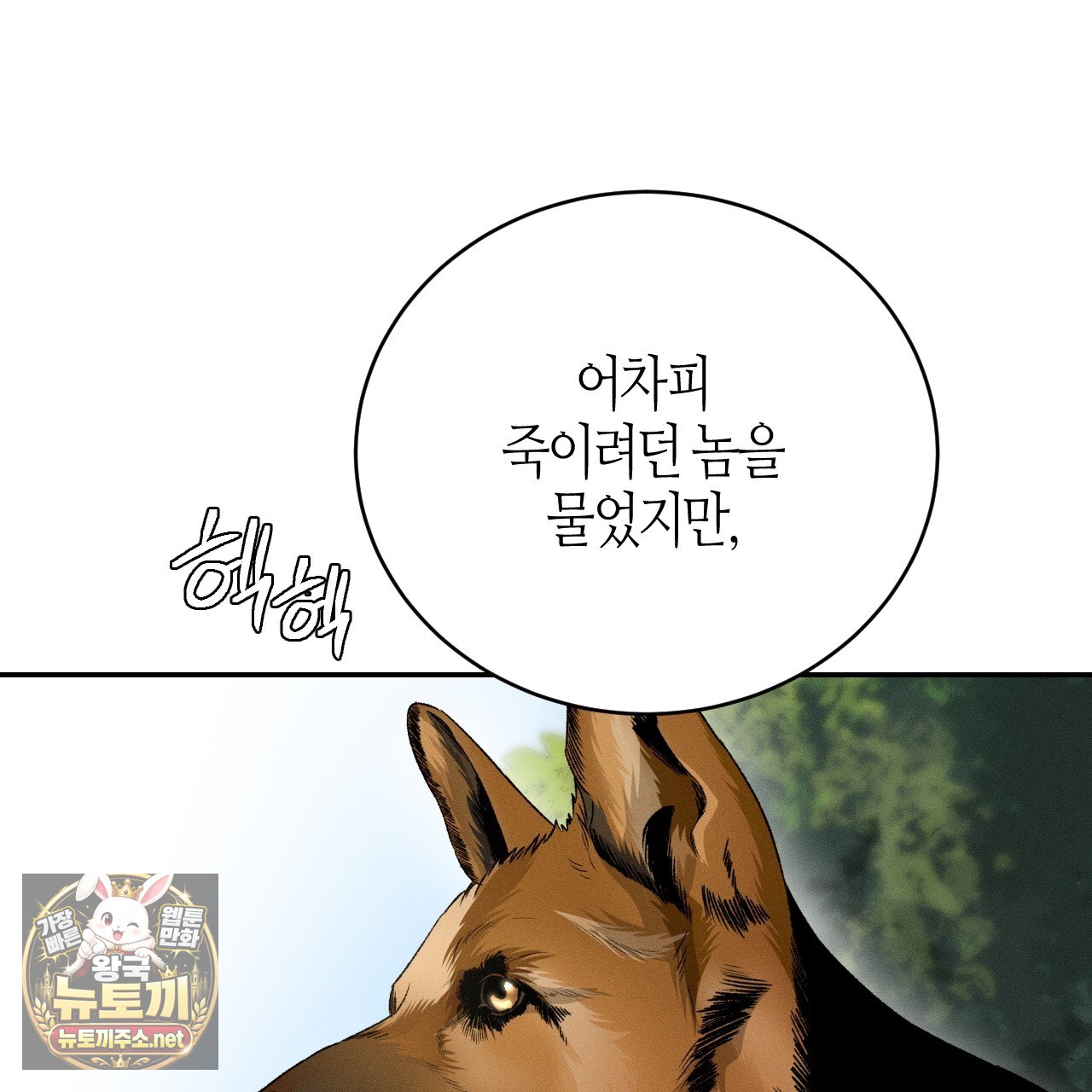 101.jpg