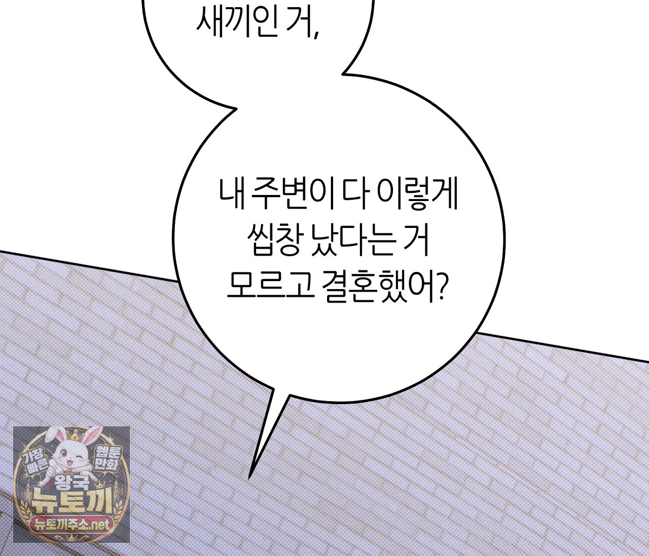 113.jpg