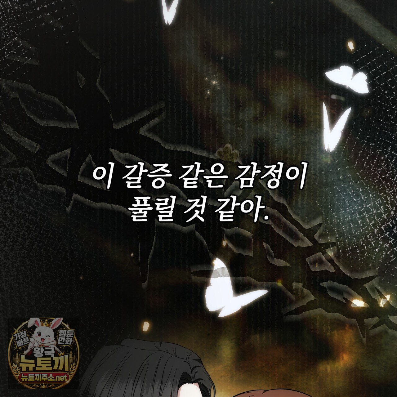 019.jpg