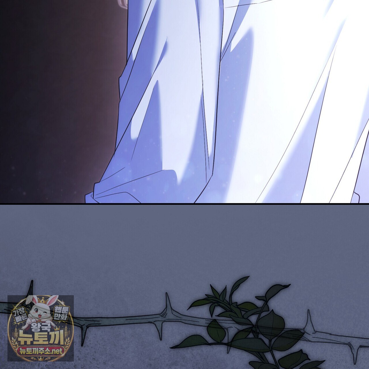 136.jpg