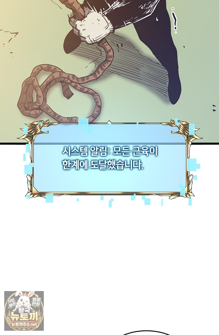 113.jpg