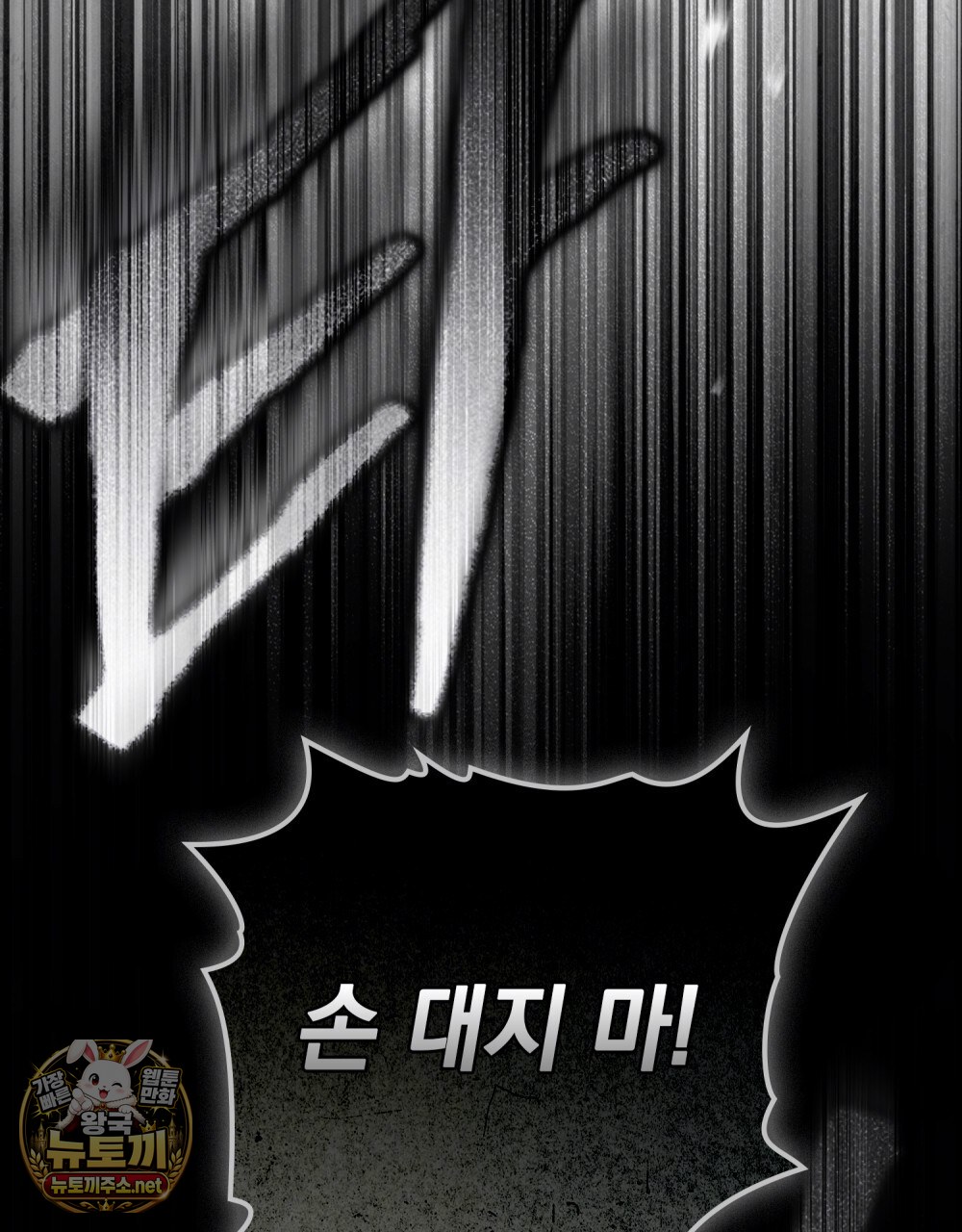 040.jpg