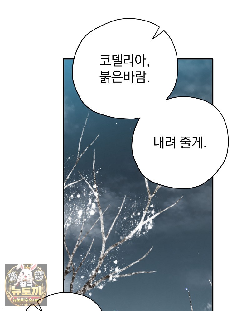 104.jpg
