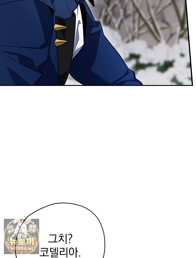 141.jpg