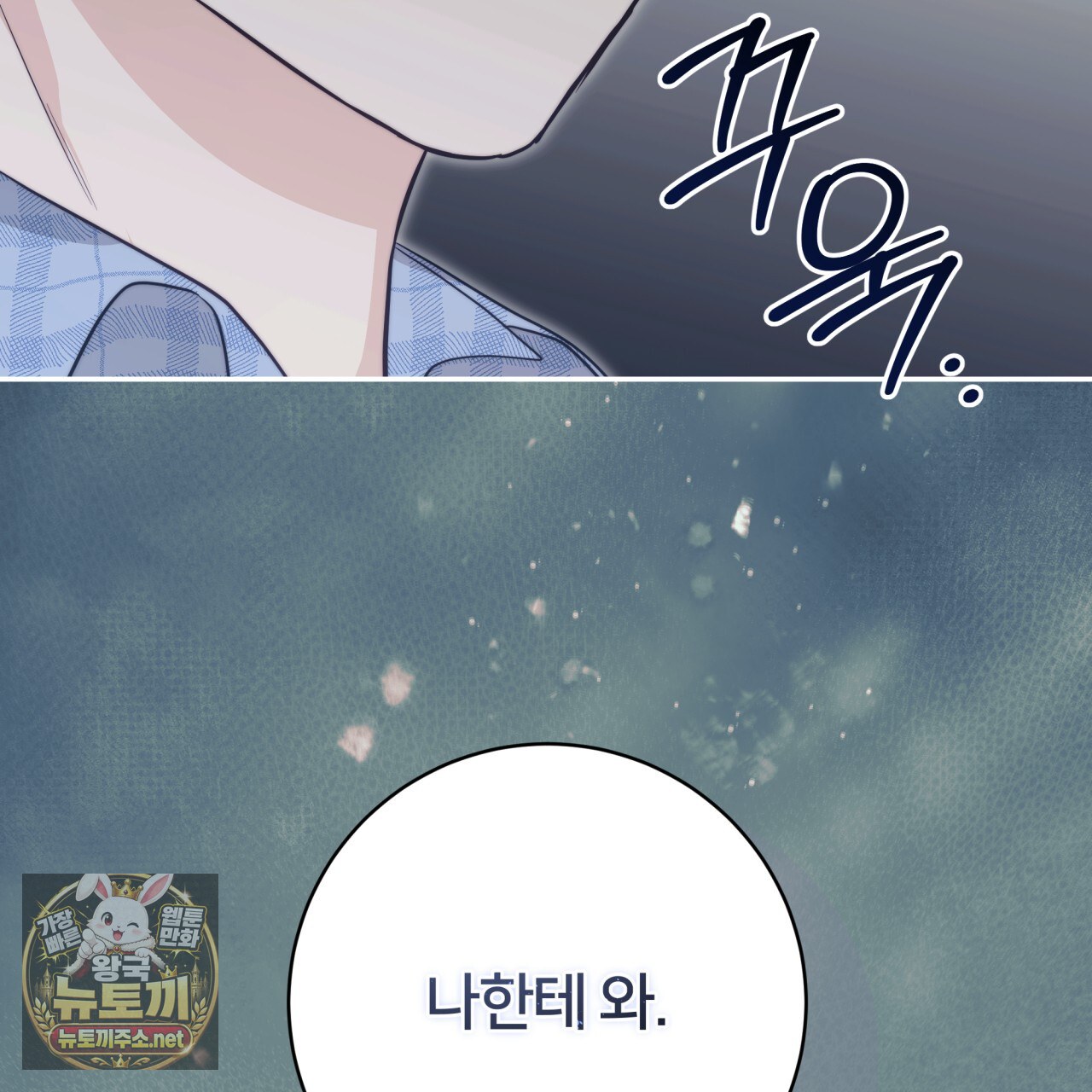 161.jpg