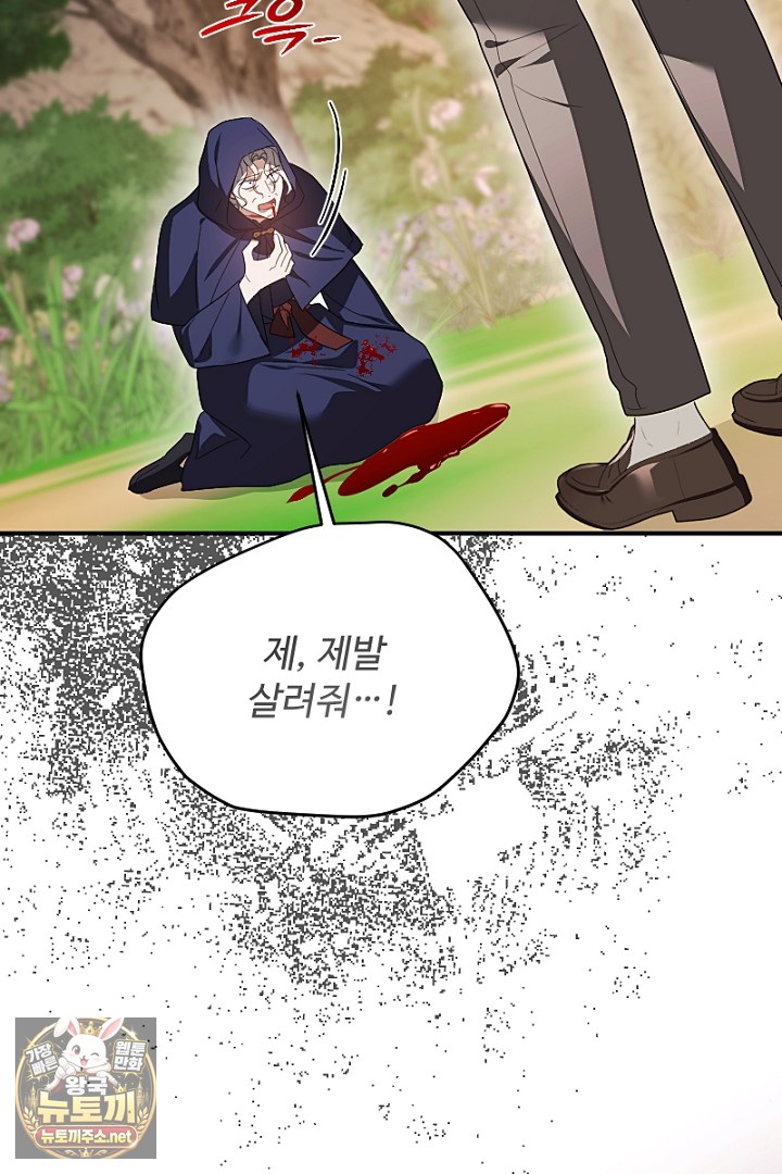 113.jpg
