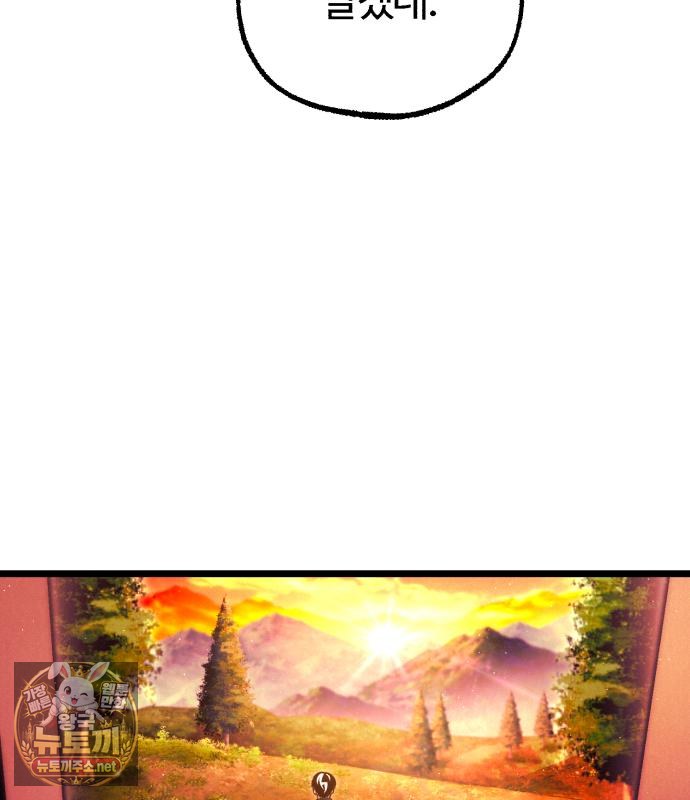 113.jpg