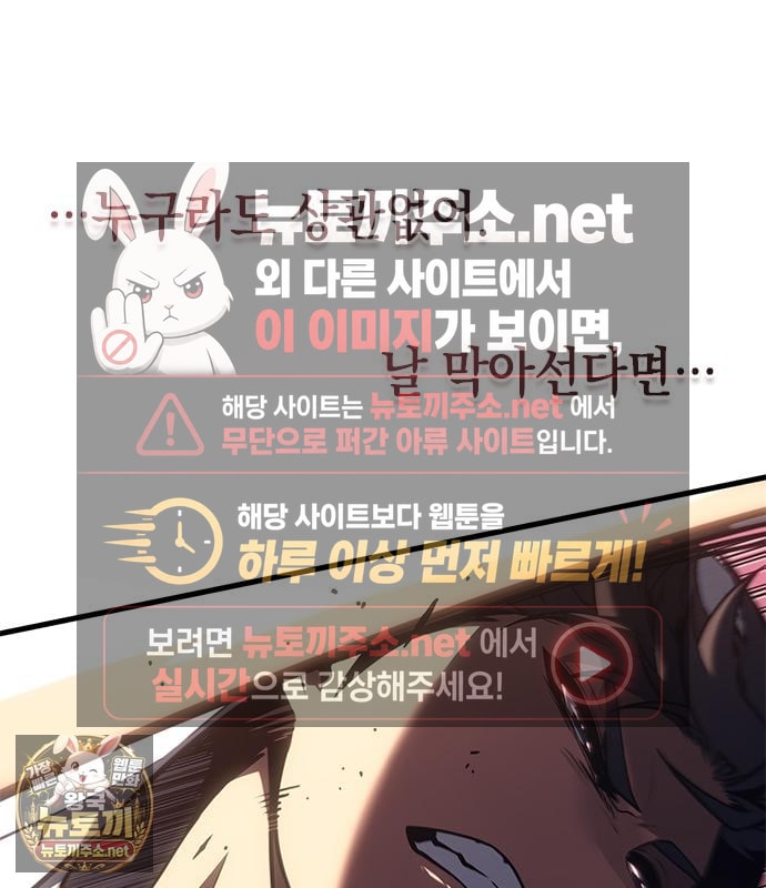 113.jpg