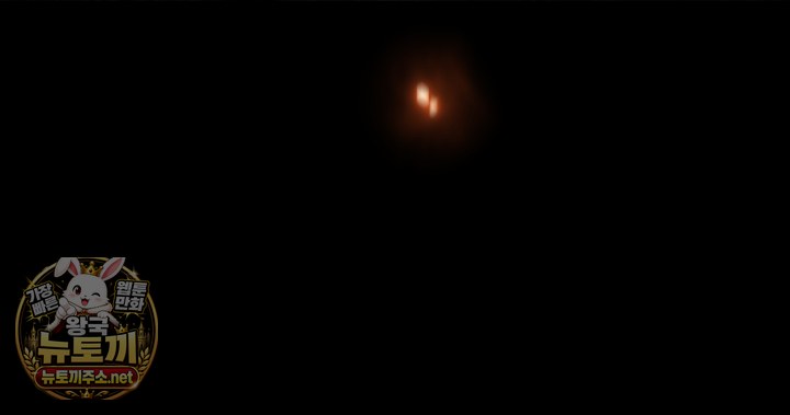 042.jpg