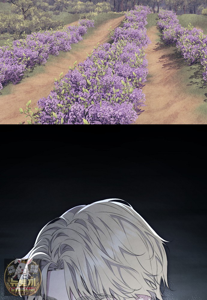 112.jpg