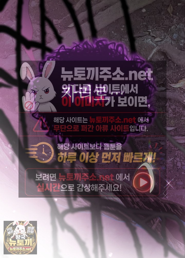 117.jpg