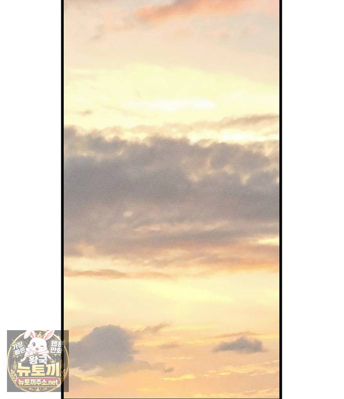 113.jpg