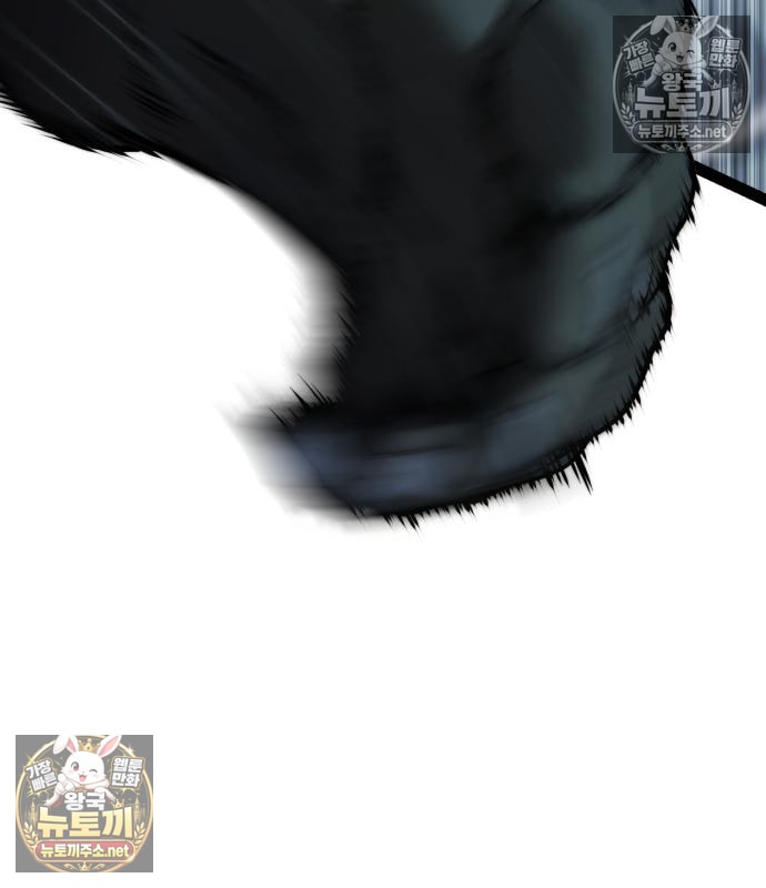 268.jpg