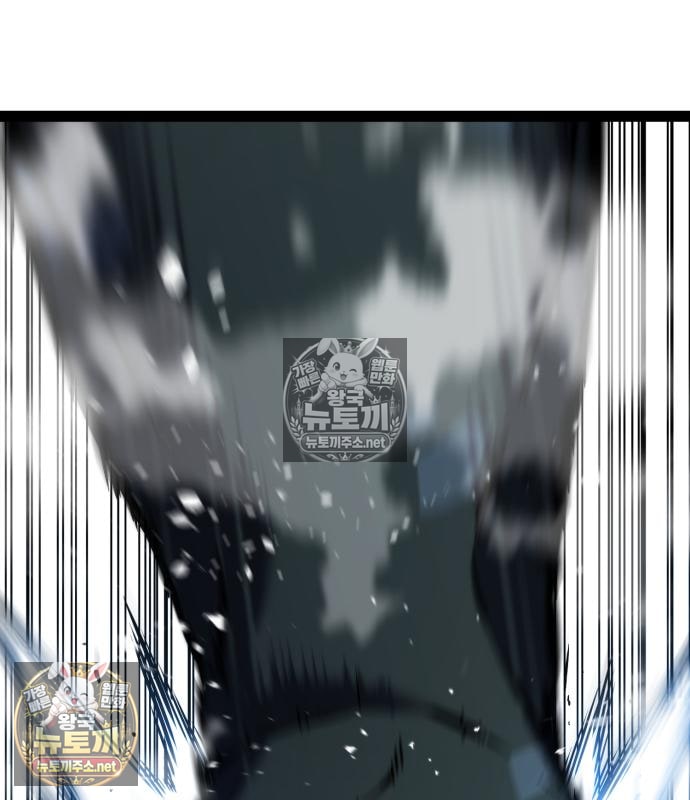 278.jpg