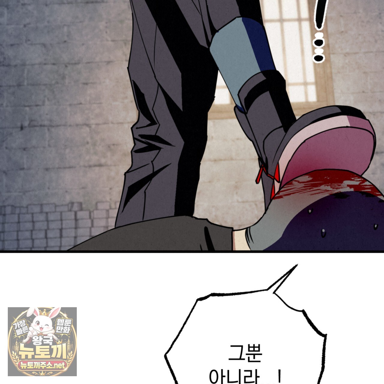 219.jpg