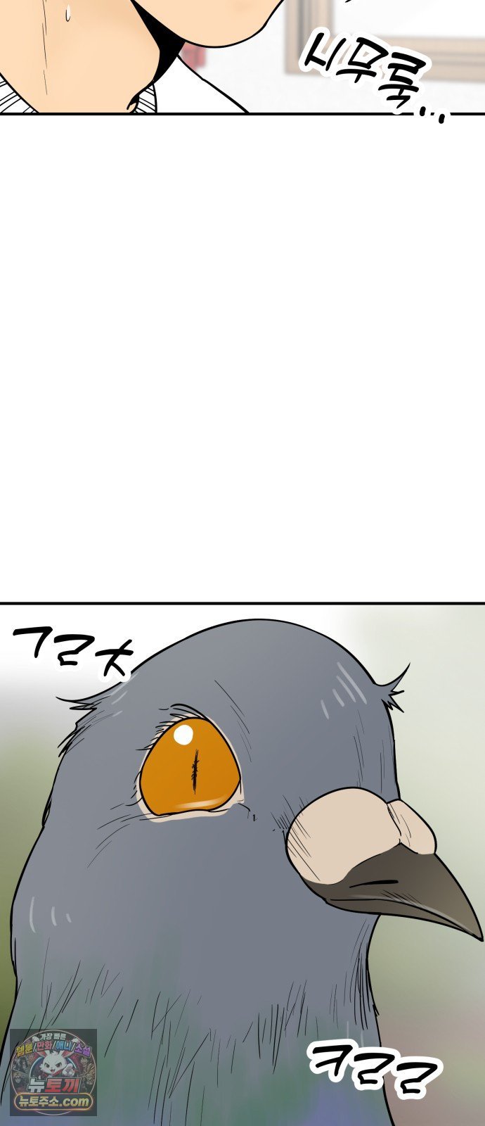 010.jpg