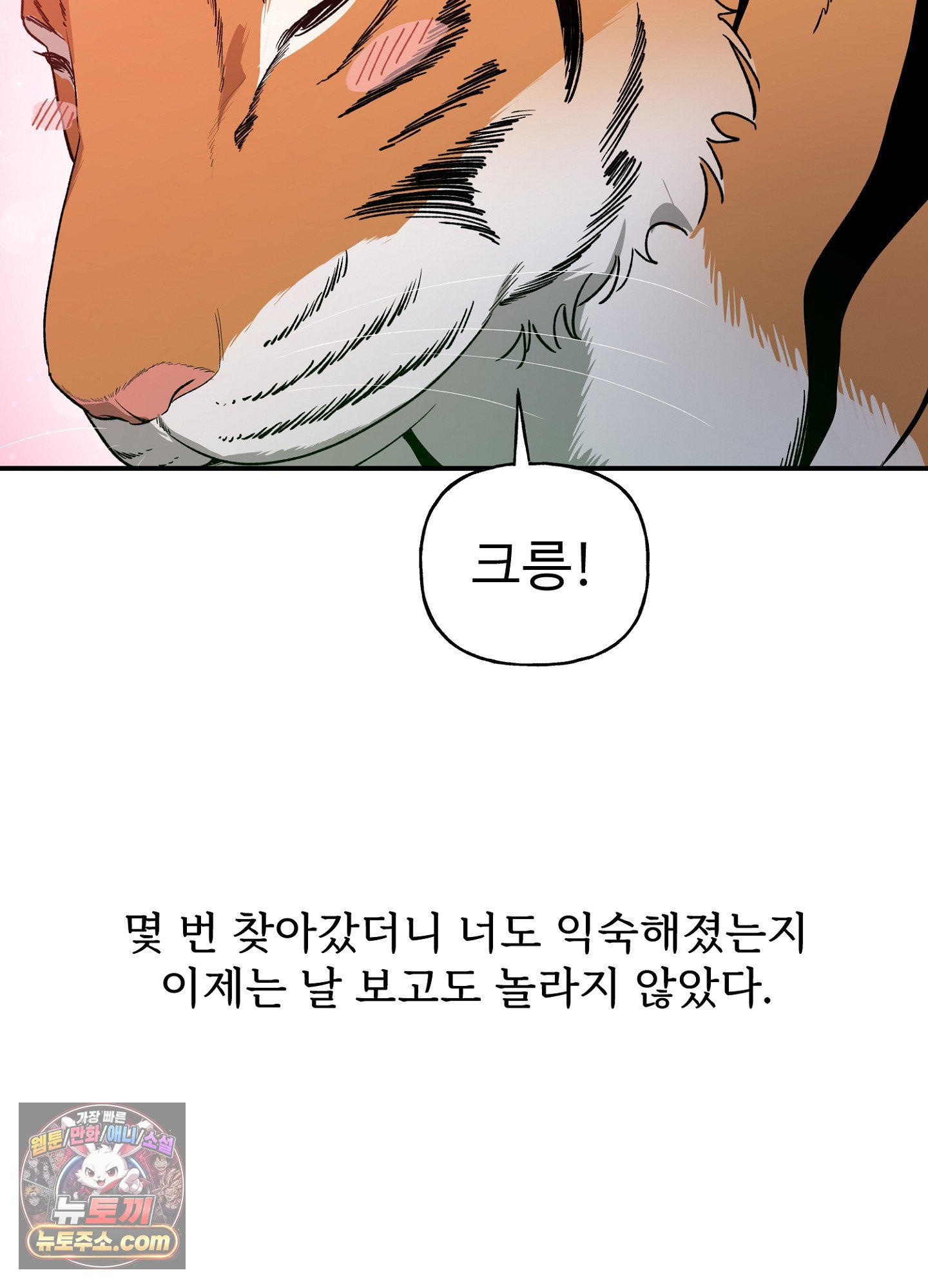 011.jpg
