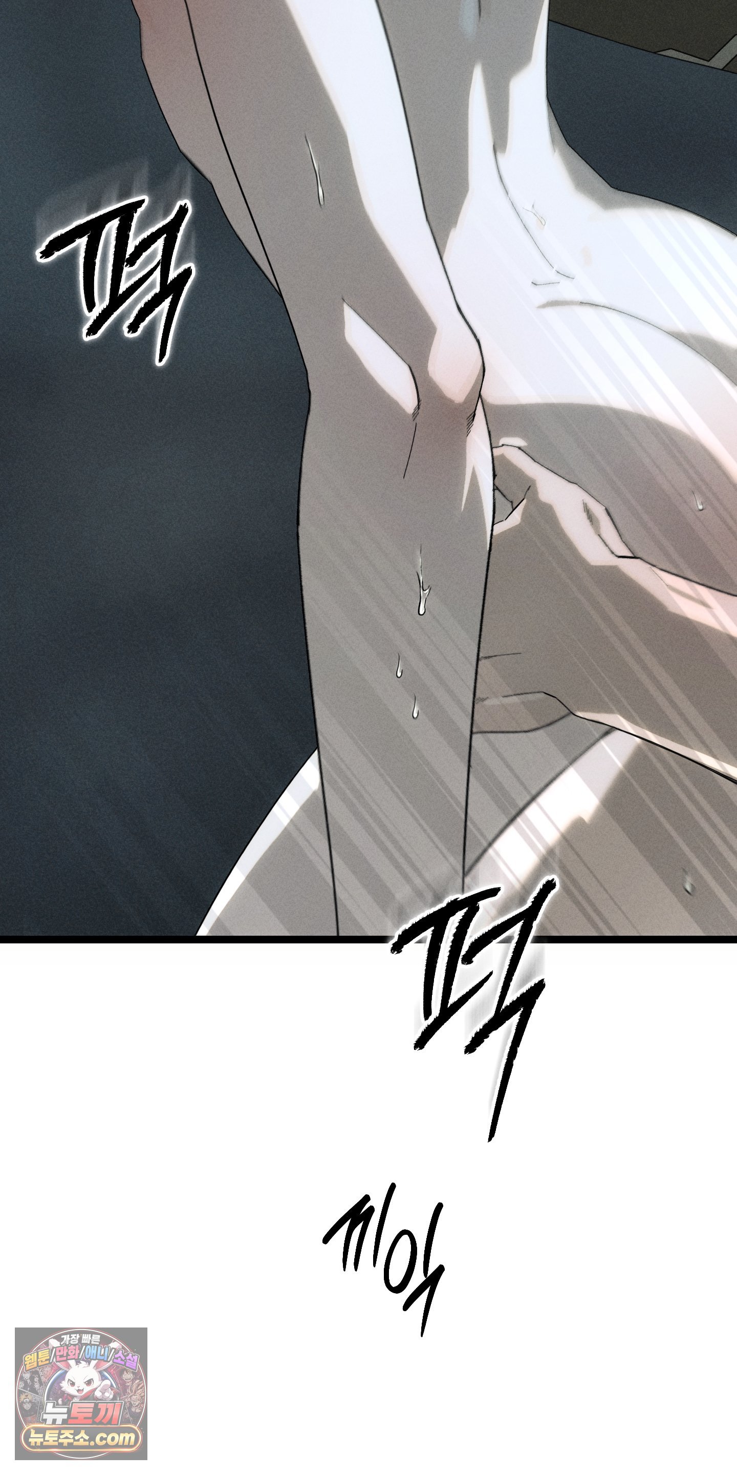 005.jpg
