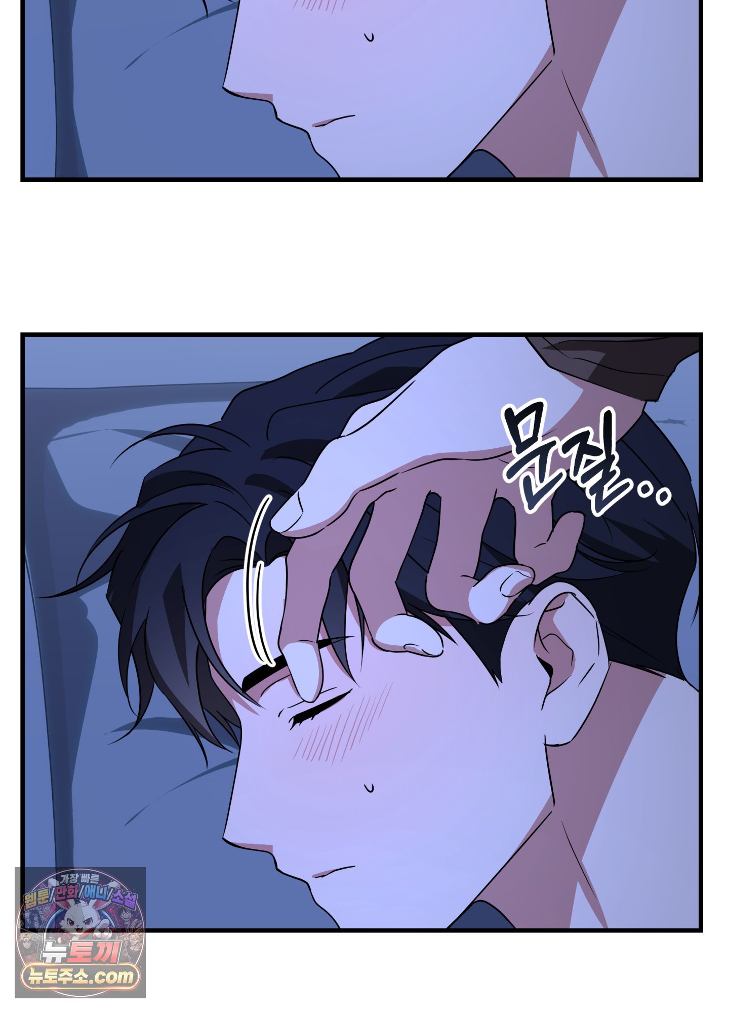 006.jpg